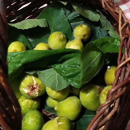 Palazzo Brancaccio A Sant'anna Appartamento Boscotrecase